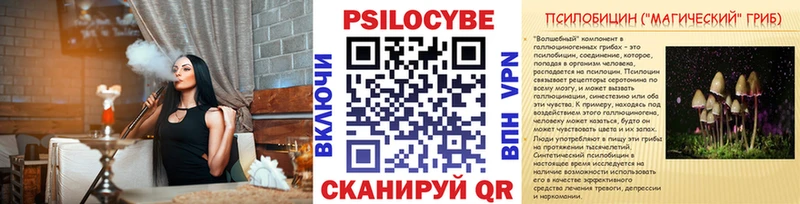 Псилоцибиновые грибы Cubensis  Кашира 